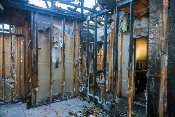 Professional Fire Damage Removal technician working in Hudson, FL