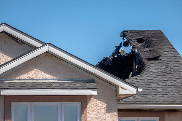 Top rated local Fire Damage Removal specialists in Hudson, FL